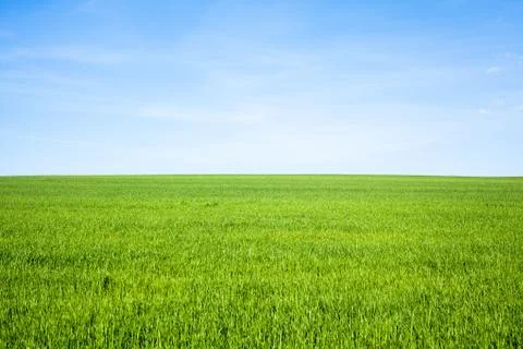 Empty Grass Field Stock Photos