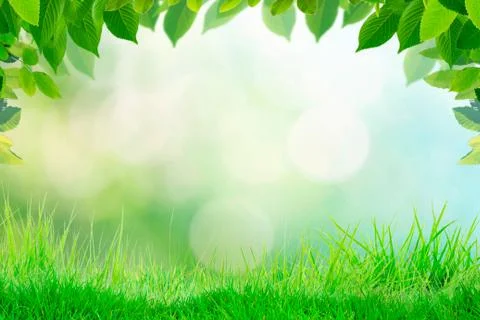 Empty grass top with blur park green nature background bokeh light,Mock up for Stock Photos