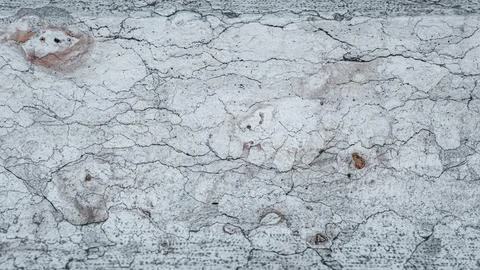 Empty gray concrete stone surface texture abstract Foto stock