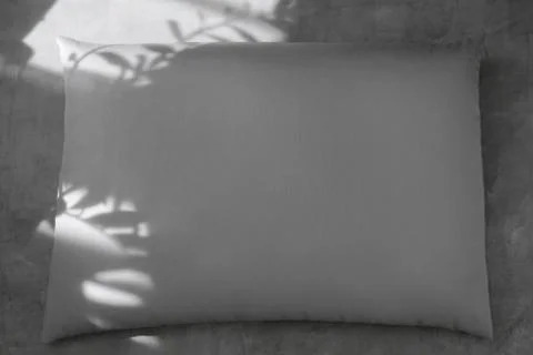 Empty gray pillow for your text on a gray background with a shadow of leaves Stock Photos