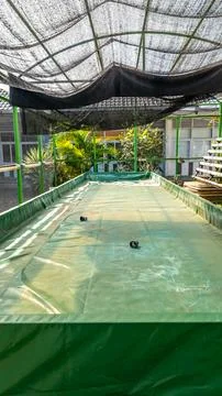 Empty green aquaculture pool inside a greenhouse facility Stock Photos