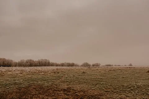 An empty green field in the grass covered with hoarfrost. earlier autumn wi.. Foto stock