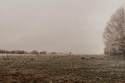 An empty green field in the grass covered with hoarfrost. earlier autumn wi.. Stock Photos