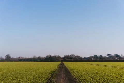 Empty green field with the trail in the middle located in west London Stock Photos