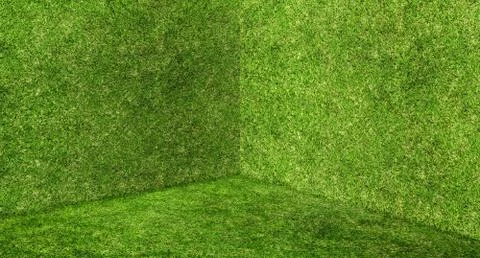 Empty green grass wall and floor corner studio room background,Mock up templa Stock Photos
