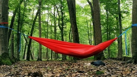 Empty green hammock hanging between two trees in a forest Vídeos de archivo 91148271
