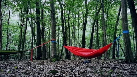 Empty green hammock hanging between two trees in a forest Video stock 91148272