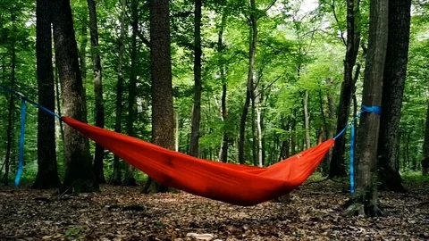 Empty green hammock hanging between two trees in a forest Stock Footage 91148313
