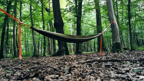Empty green hammock hanging between two trees in a forest Video stock 91148375