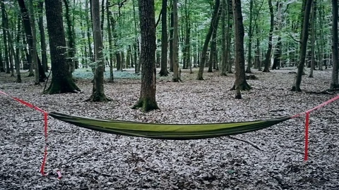 Empty green hammock hanging between two trees in a forest Stock Footage 91148431