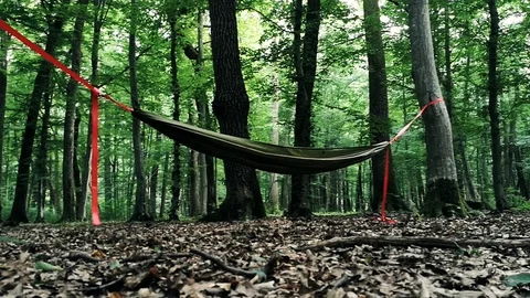 Empty green hammock hanging between two trees in a forest Vídeos de archivo 91148433