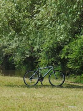 Empty green nature Foto stock