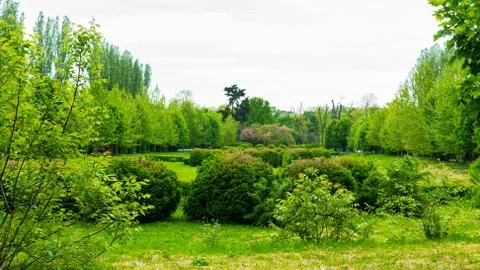 Empty green park in the spring time in overcast day Stock Photos