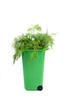 Empty green plastic recycle bin isolated Stock Photos