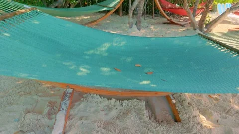 Empty Green Rope Hammocks and Wooden Stands on Tropical Sand Beach 库存影片 347687824