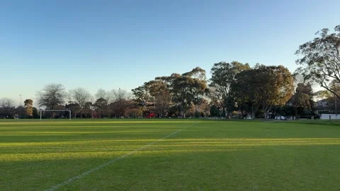 Empty Green Soccer Field in Sunny Suburban Park Stock Footage 344558913