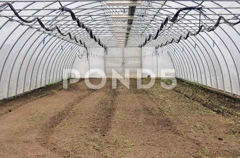 Empty greenhouse Stock Photos