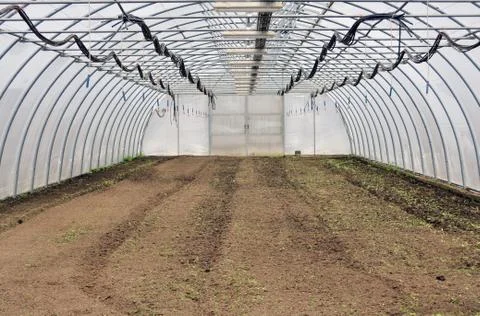 Empty greenhouse Stock Photos