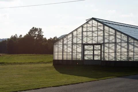 Empty greenhouse in sunset light Stock Photos