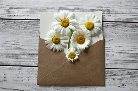 An empty greeting card with a brown envelope and a white flower for mom on a  Stock Photos