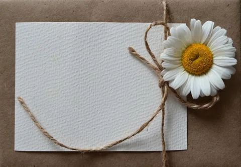 An empty greeting card with a brown envelope and a white flower for mom on a  Stock Photos