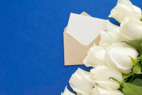 Empty greeting card in open envelope with white rose flowers on blue background Stock Photos
