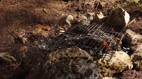 Empty Grill Wire on the Campfire (Slow Motion) Stock Footage 325654084