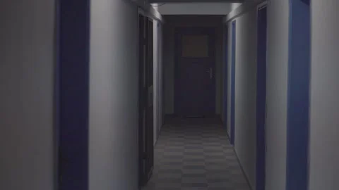 Empty Hall Doors Dark Stock Footage 231545149