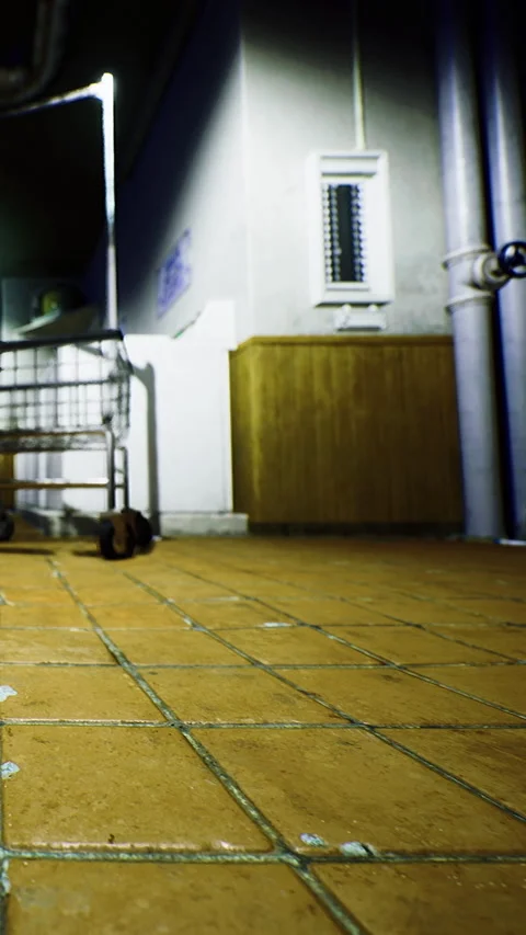 Empty hallway with a shopping cart and tiled floor at night in a building Stock Footage 330274111