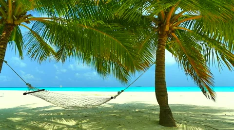 Empty Hammock on the beach and sea in maldives island Stock Footage 64723660