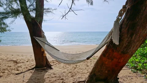 Empty hammock on the beach Stock Footage 143048787