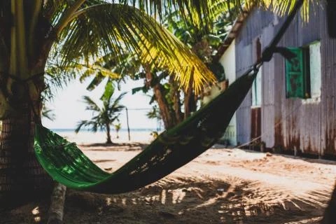 Empty Hammock between palm trees on the beach Stock Photos