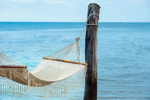 Empty hammock between palm trees on tropical beach Stock Photos