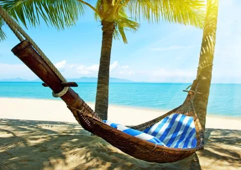 Empty hammock between palms trees Stock Photos