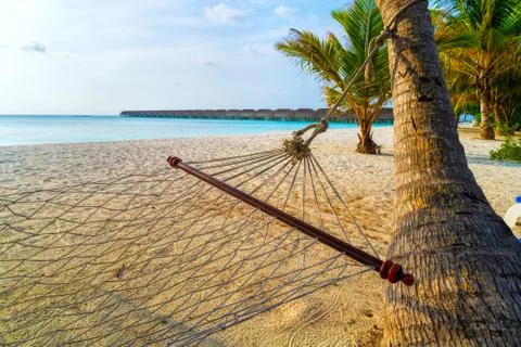 Empty hammock between palms trees at sandy beach Stock Photos
