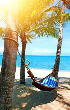 Empty hammock between palms trees at sandy beach Stock Photos