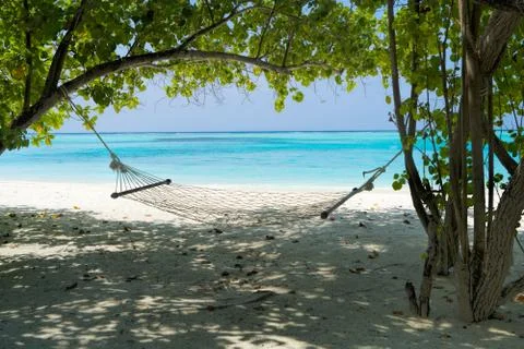 Empty hammock between palms trees at sandy beach Stock Photos