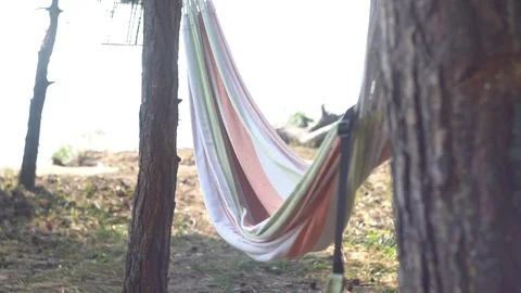Empty hammock between the trees. wind ruffles hammock Stock Footage 113278155