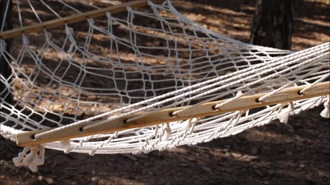 An empty hammock in the garden Stock Footage 163740571