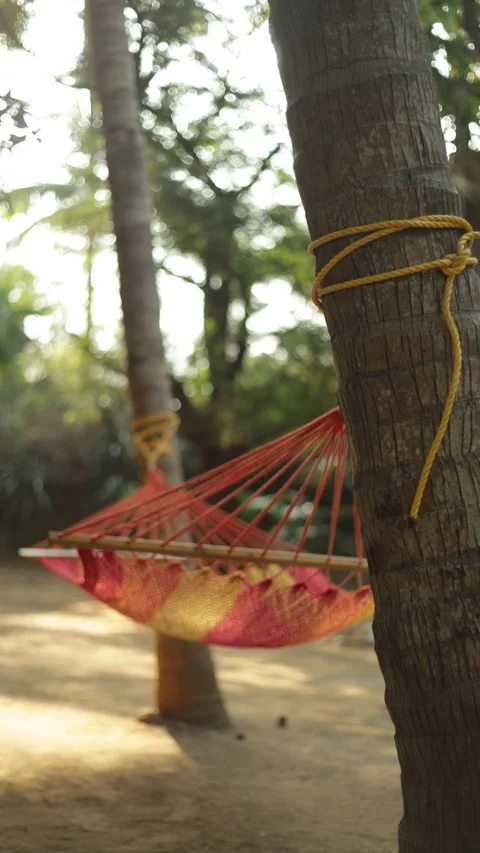 An empty hammock in the garden Stock Footage 308995851