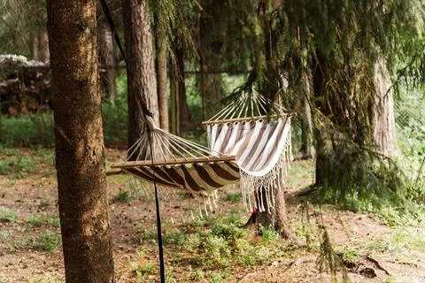 Empty hammock hanging between trees in forest inviting to relax Foto stock