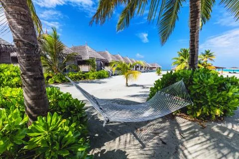 Empty hammock hanging between two palm trees. Maldives 스톡 사진