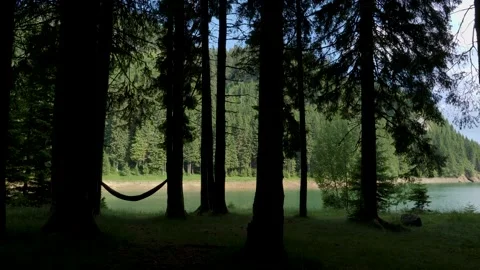 Empty hammock hanging from the trees of a mountain forest Stock Footage 157208162
