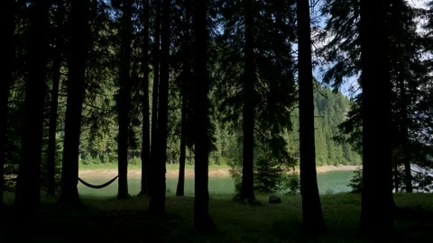 Empty hammock hanging from the trees of a mountain forest lake. Stock Footage 157208892
