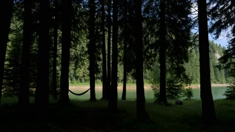 Empty hammock hanging from the trees of a mountain forest lake. Stock-Footage 157209163