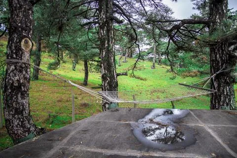 Empty Hammock Stock Photos