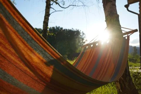 An empty hammock with red and blue stripes is hanging on the bearch tree Stock Photos