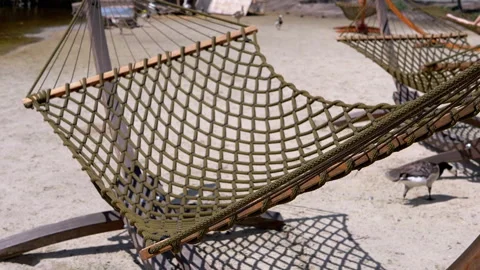 Empty hammock on a sandy beach Video stock 293178159