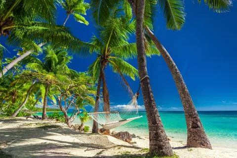 Empty hammock in the shade of palm trees on tropical Fiji Islands Stock Photos