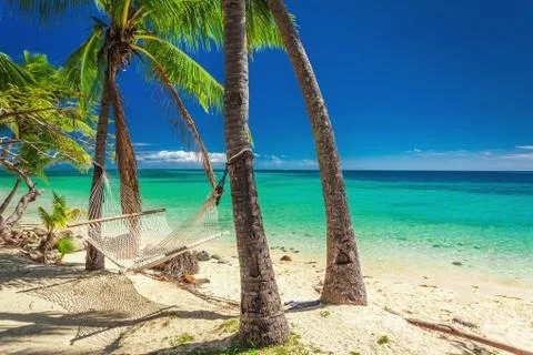 Empty hammock in the shade of palm trees on vibrant tropical Fiji Stock Photos